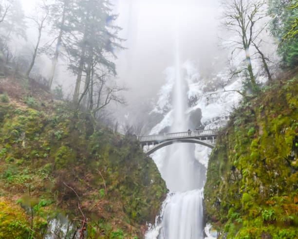 istock Icy Multnomah Falls Oregon in wintertime 1009766856