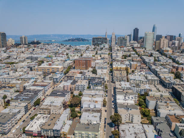 istock Aerial view of San Francisco Skyline 1009785114