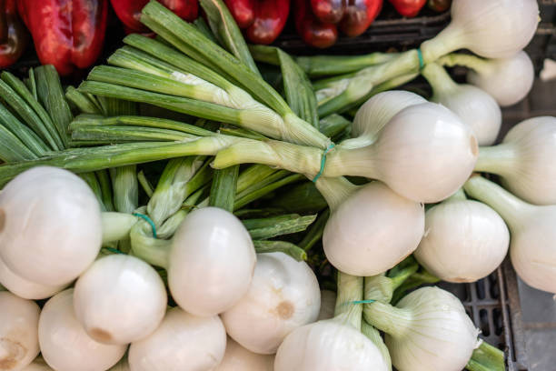 süße weiße zwiebeln - sweet onion stock-fotos und bilder