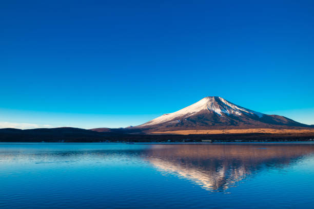 istock Mount Fuji and lake Yamanaka 1009787674