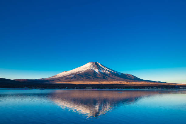 istock Mount Fuji and lake Yamanaka 1009787684
