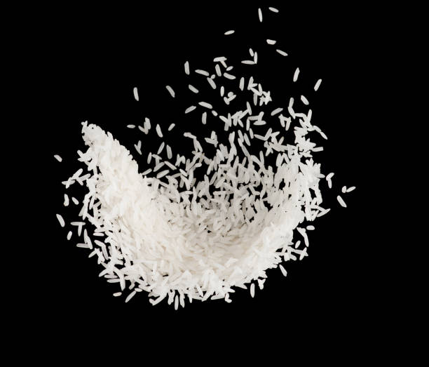 istock Stop motion white rice splash or explode flying in the air  isolated on black background food object design 1009801234