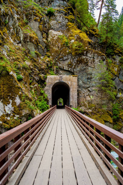 istock Wooden Bridge to a Tunnel 1009814000