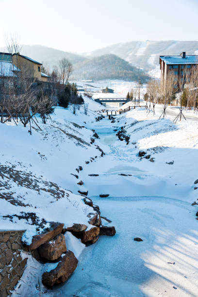 istock Frozen river in the village 1009819240