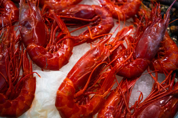istock Spanish giant red shrimps 1009822124