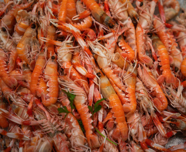 istock Spanish shrimp at the fish market 1009822146