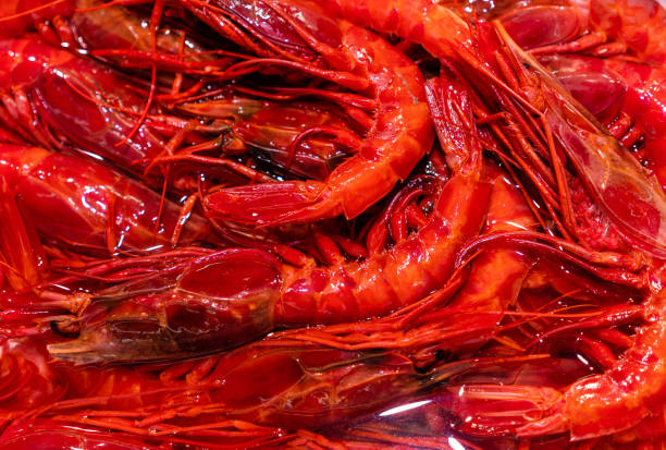 istock Spanish giant red shrimps 1009822170