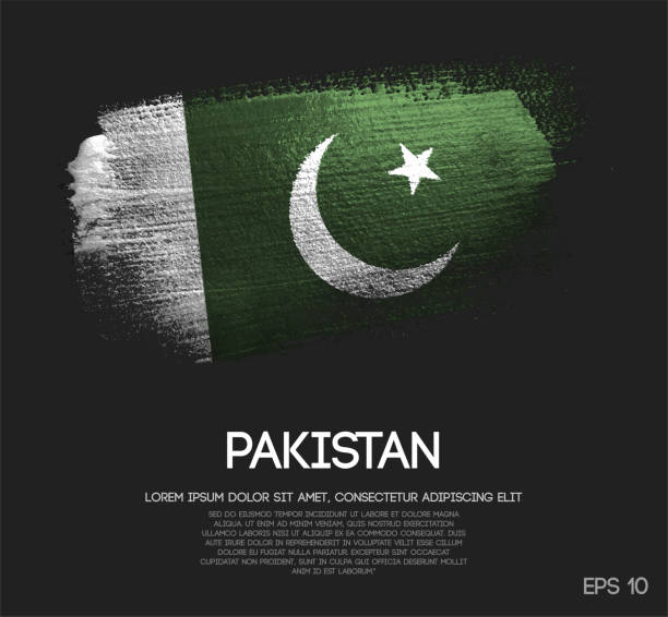 ilustrações de stock, clip art, desenhos animados e ícones de pakistan flag made of glitter sparkle brush paint vector - bandeira do paquistão
