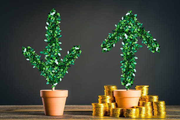 istock plants and lot of gold coins 1009832996