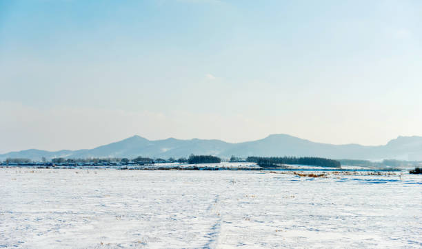 istock Field and blue sky in winter 1009833676