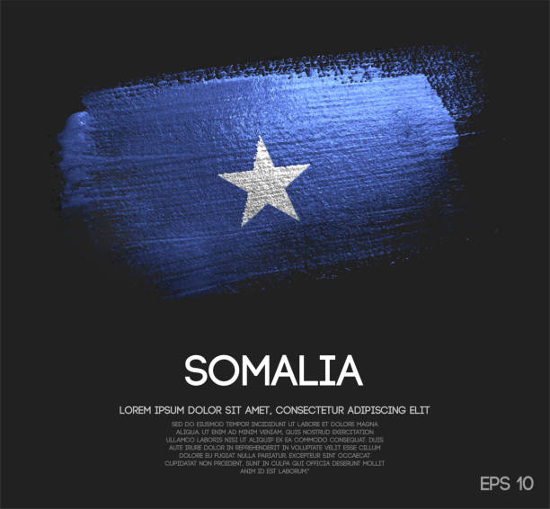 somalia-flagge gemacht glitter glitzer pinsel farbe vektors - mogadischu stock-grafiken, -clipart, -cartoons und -symbole