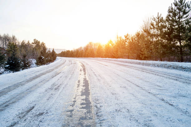 Country road through the forest in winter.