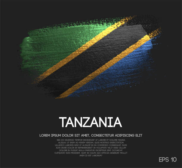 Tanzania Flag Made of Glitter Sparkle Brush Paint Vector Tanzania Flag Made of Glitter Sparkle Brush Paint Vector tanzania stock illustrations