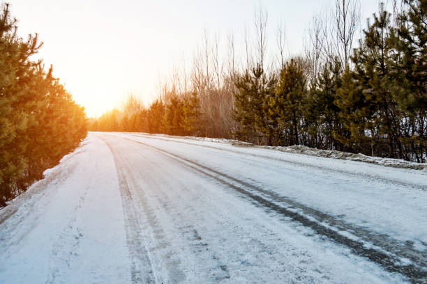 istock Country road through the forest in winter 1009838604