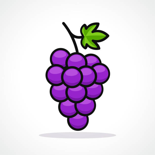 Vector illustration of grapes design icon Vector illustration of grapes on white background fruit clipart stock illustrations