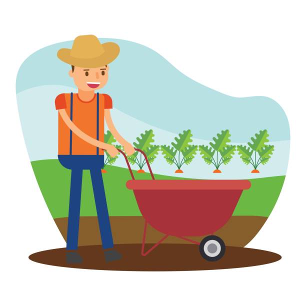 Funny Farmer Is Farming And Growing Carrot In His Field Cartoon Character  Stock Illustration - Download Image Now - iStock