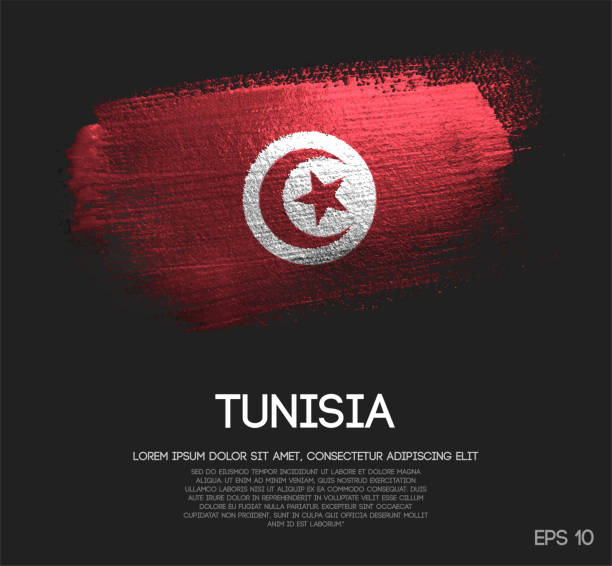 ilustrações de stock, clip art, desenhos animados e ícones de tunisia flag made of glitter sparkle brush paint vector - australia tunisia
