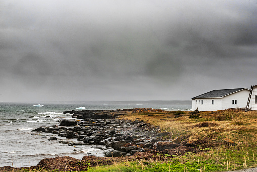 Newfoundland, Canada.