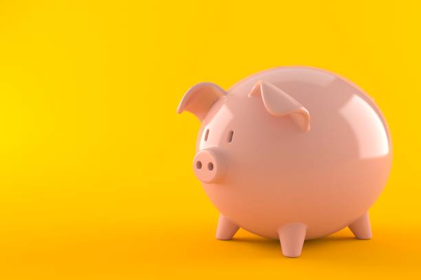 istock Piggy bank 1009849482