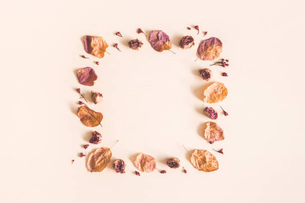 istock Autumn flowers leaves on pastel background. Flat lay, top view 1009849912