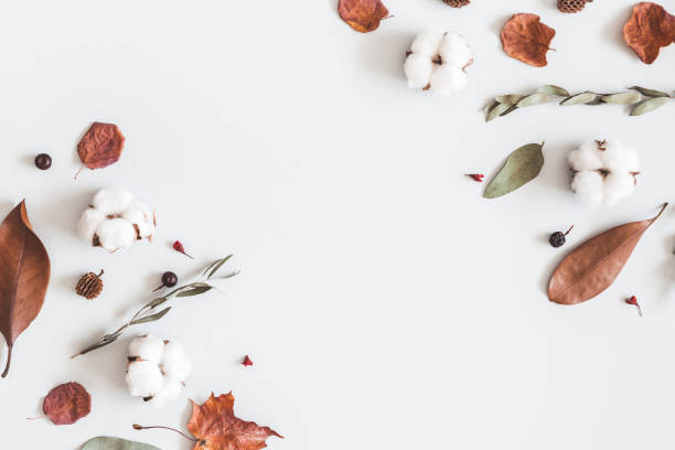istock Autumn composition on pastel gray background. Flat lay, top view 1009854996