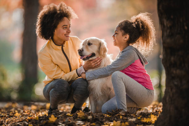 istock Happy black mother and daughter communicating while spending an autumn day with their retriever in nature. 1009857548
