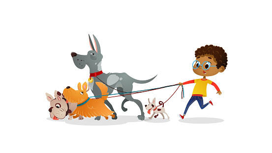 African-American boy holds a dog-lead and looks after pets. Kid walks dogs on leash along city street against buildings on background. Cartoon character strolls with her domestic animals in downtown.