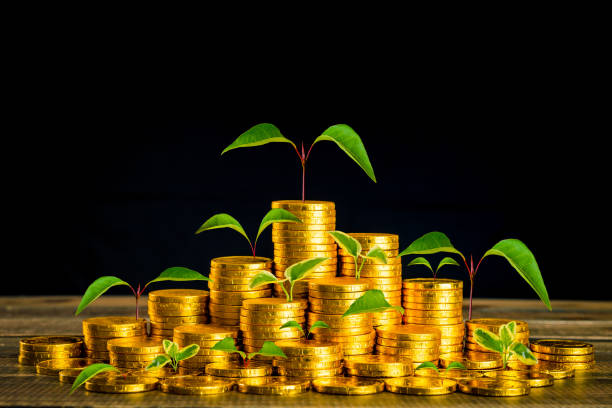 istock gold coins and growing plants 1009865330