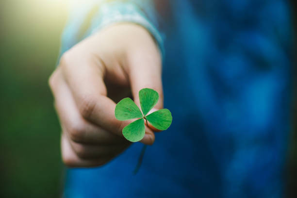 verde hoja de trébol en la mano. - casualidad fotografías e imágenes de stock