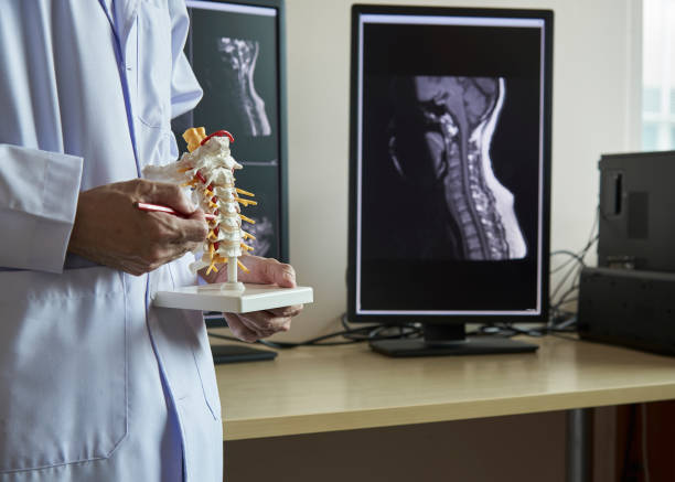 ein neurochirurg auf halswirbelsäule modell zeigen - x ray x ray image human hand anatomy stock-fotos und bilder