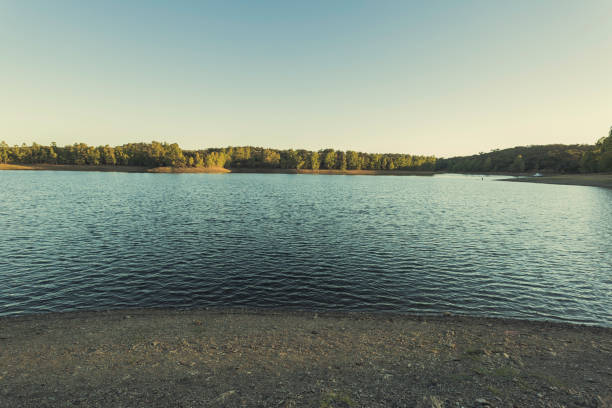 istock Stone shore in the Serrano Lakes with eucalyptus forest in the background 1009868526