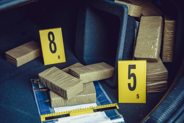 istock Drug smuggling 1009876988