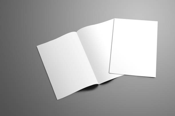 istock Concept mockup with two blank   A4, (A5) bi-fold brochure with soft shadows isolated on gray background. 1009888888