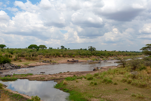 Savannah landscape with river in the National park of Kenya, Africa