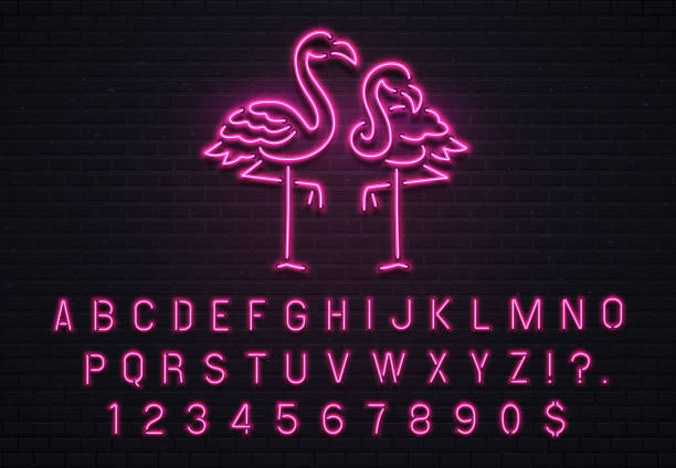 ilustrações de stock, clip art, desenhos animados e ícones de flamingo neon sign. pink 80s font. tropical flamingos electric glow bar billboard with purple light bulb letters vector illustration - american flamingo