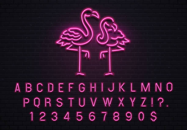 Flamingo neon sign. Pink 80s font. Tropical flamingos electric glow bar billboard with purple light bulb letters vector illustration Flamingo neon sign. Pink 80s font. Tropical flamingos electric glow bar billboard logo with fluorescent purple light bulb letters text and numbers symbols vintage decoration vector illustration flamingo stock illustrations