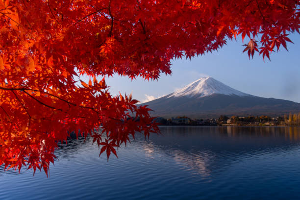 Mt Fuji in autumn view from lake Kawaguchiko