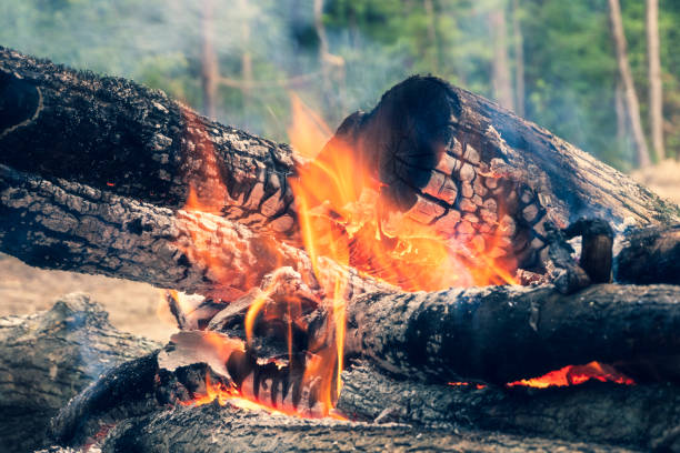 istock The image of logs in the burning fire. 1009899042