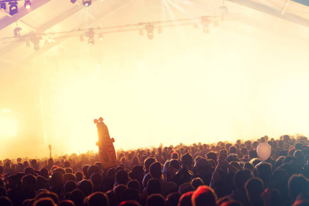istock Concert crowd at summer festival 1009905940
