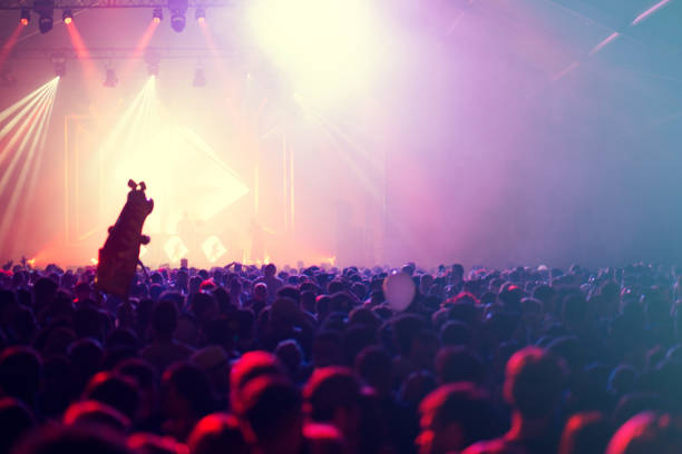 istock Concert crowd at summer festival 1009905958