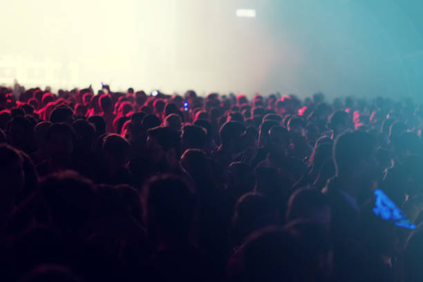 istock Concert crowd at summer festival 1009906070