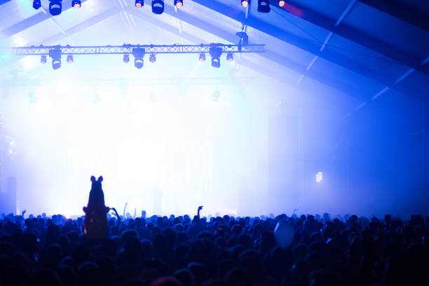 istock Concert crowd at summer festival 1009906074