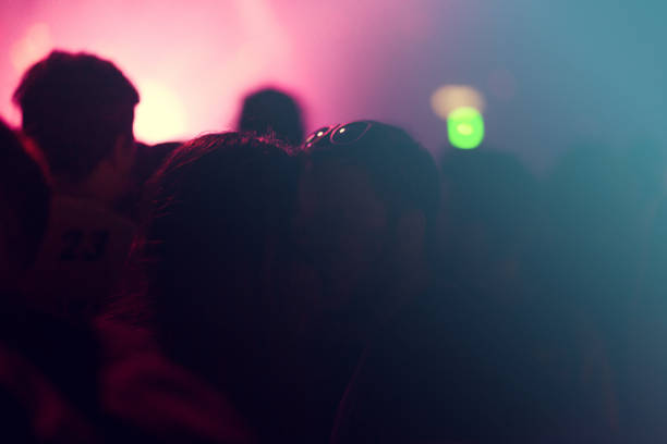 istock Concert crowd at summer festival 1009906234