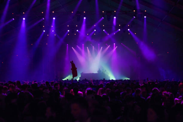 istock Concert crowd at summer festival 1009906806