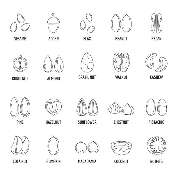 nuss-arten mit signierten namen icons set umriss-stil - walnut nut nutshell peanut stock-grafiken, -clipart, -cartoons und -symbole