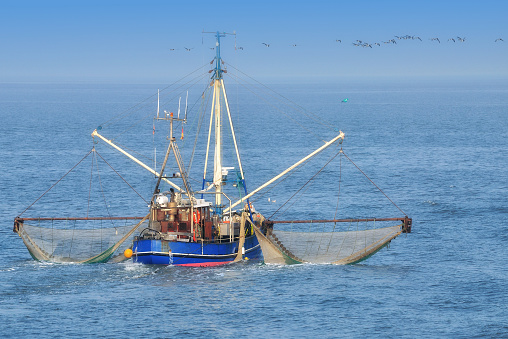 traditional Shrimp Boat at North Sea in Wattenmeer National Park,Germany