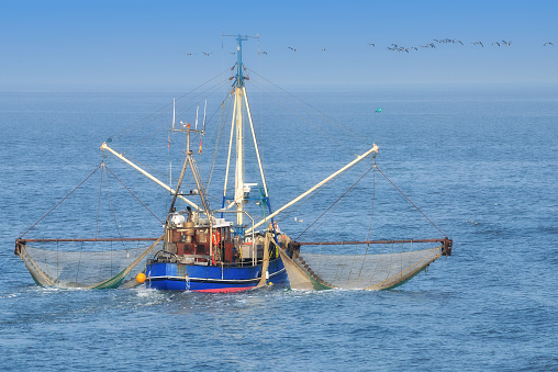 Nuuk / Godthåb, Sermersooq municipality, Greenland: small coastal fishing boats / trawlers with red hulls in Nuuk Harbor, the largest port in Greenland. Greenland's economy is highly dependent on the fishing industry, employing over 10% of the population and contributing to more than 25% of GDP and over 80% of exports - Nuuk bay.