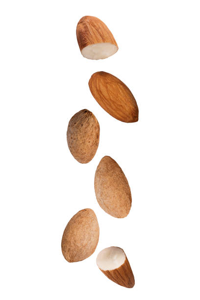istock Isolated flying nuts. Falling almonds isolated on white background with clipping path as package design element and advertising. 1009917036