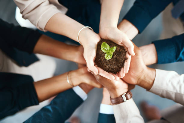 istock Growing a company with their own hands 1009934100