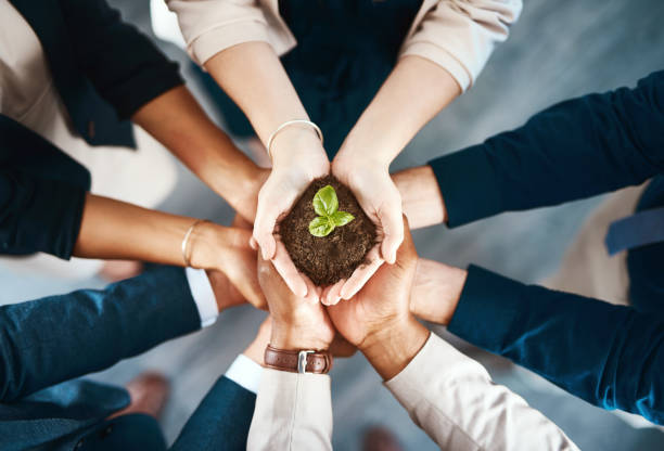 We're all responsible for creating a better tomorrow High angle shot of a group of business colleagues holding a budding plant growing out of soil in their hands flora environment stock pictures, royalty-free photos & images